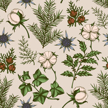 Vintage Christmas Seamless Pattern With Evergreen Plants.