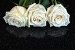 Three white roses on black stone reflected surface