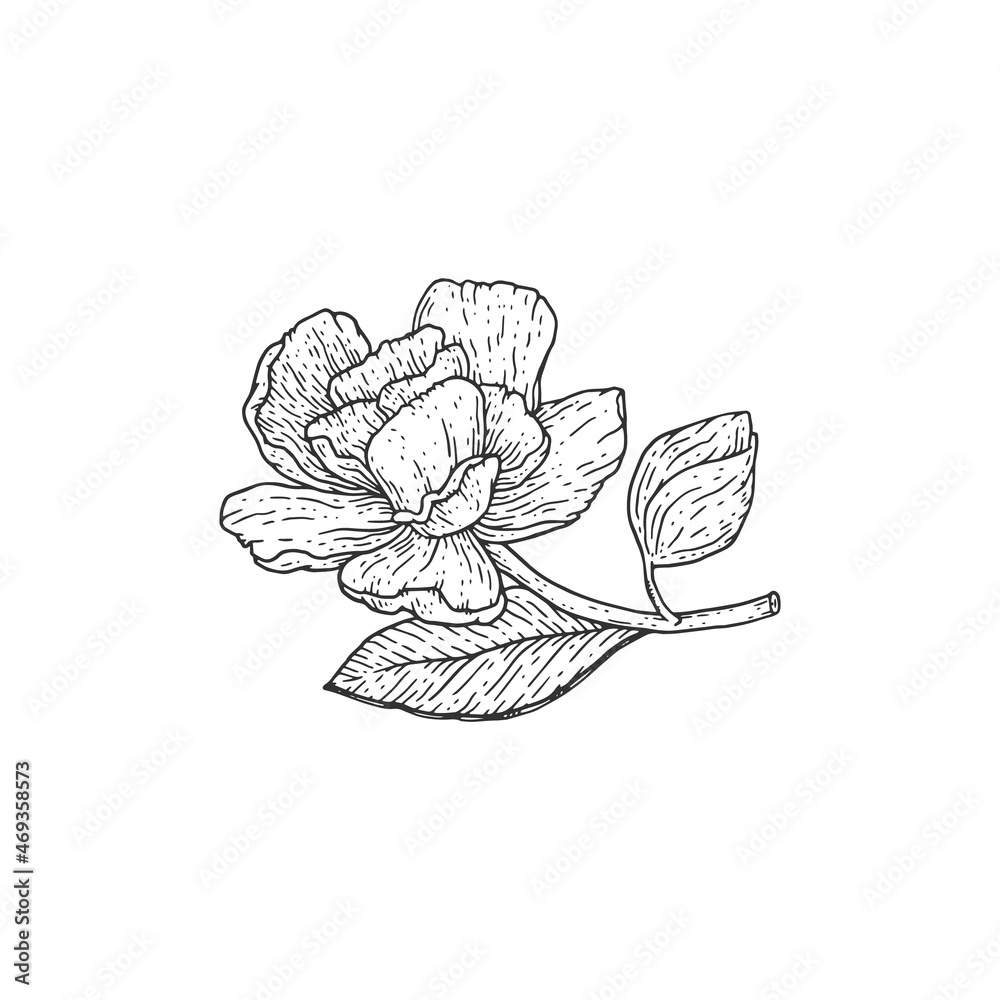 Small Three Stars Semi-Permanent Tattoo - Set of 2, image size:1000x1000