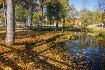 Wall Mural - Autumn in the park with colorful leaves in pond