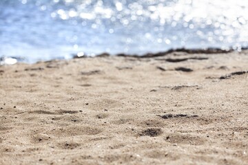 Canvas Print - Blur beautiful nature beach