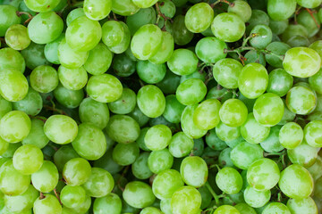  background of juicy ripe fruit grapes