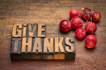 Give thanks word abstract in vintage letterpress wood type with crab apples on rustic wood, Thanksgiving and fall holidays theme.