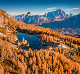 Wall Mural - view from flying drone of popular tourist destination - federa lake among red larch trees. picturesq