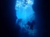 Fototapeta Do akwarium - scuba diver in the sea