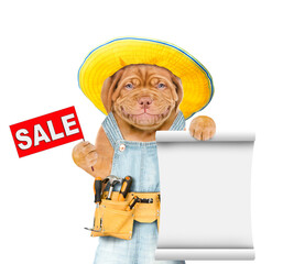 Poster - Funny mastiff puppy worker wearing overalls with tool belt holds sales symbol and empty list. Isolated on white background