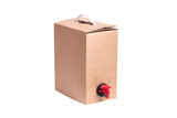 Fototapeta Lawenda - Set of two cardboard box with tap plastic handle, Liquid Dispensing