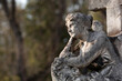 A sitting, pensive Angel. An angel with his head on his hand, looking at the sky. Blurred trees in the background. Stone, monumental sculpture in the Catholic cemetery.