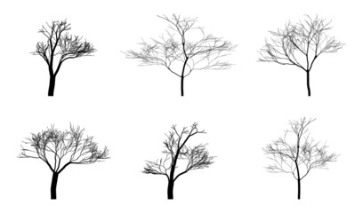 Winter trees collection. Silhouettes bare trees. Winter trees nature template. Clipart. Vector illustration