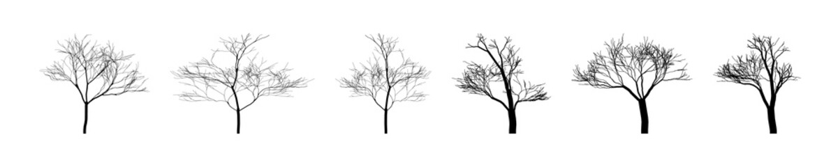 Winter trees collection. Silhouettes bare trees. Winter trees nature template. Clipart. Vector illustration