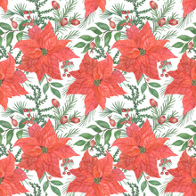 Watercolor Painting Seamless Pattern Withred Poinsettia Flowers And Fir, Cedar Tree, Red Berries. Winter Christmas Background