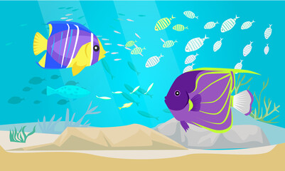 Wall Mural - Underwater ocean world with exotic fishes. Ocean bottom with marine life, school of tropical fish