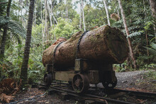 A Giant Kauri Log On An Old Rail Rail Cart In Karamatura, New Zealand,