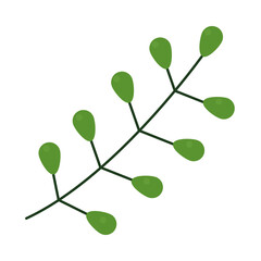 Poster - branch with green berries