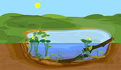 Sticker - Abstract cartoon landscape with split level freshwater pond. Biotope pond with Yellow water-lily (Nuphar lutea) plants and driftwood
