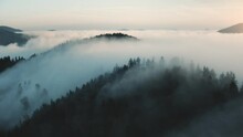 Morning Fog Landscape In Mountains. Misty Fog Blowing Over Pine Tree Forest On Hills. Sunrise Nature Scene. Spruce Forest On A Foggy Day. Beautiful Wild Landscape. Cinematic Drone Flight Aerial Shot