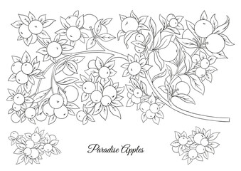 Wall Mural - Apples on branches Element for design. Vector illustration.