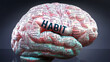Habit in human brain, hundreds of crucial terms related to Habit projected onto a cortex to show broad extent of this condition  and to explore important concepts linked to Habit, 3d illustration