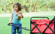 © Ann Rodchua - Portrait on caucasian adorable curly hair little girl smiling, pulling red cart and playing in green park, garden with fun and happiness. Education and Kids Concept.