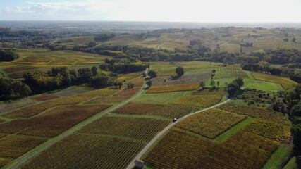 Canvas Print - Aerial view Bordeaux Vineyard at sunrise,film by drone in autumn, Entre deux mers, Semens, Verdelais. High quality 4k footage