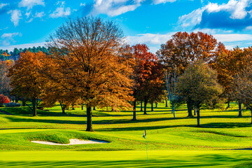 autumn in the golf course