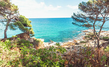 Nice Sea View, On The Coast Of Spain. Costa Brava  Is A Coastal Region Of Catalonia In Northeastern Spain. Sea With Rocky Beaches And Dense Fir-trees.