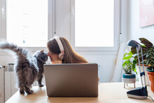 Woman In Headphones Near Laptop Caressing Cat