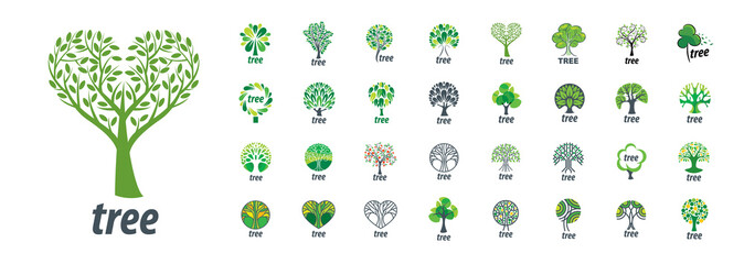 A set of vector logos with the image of a tree