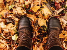 Person In Wet Boots Standing On Dry Autumn Leaves