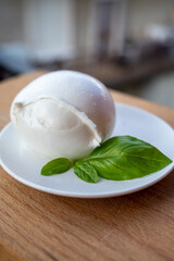 White ball of Italian soft cheese Mozzarella di Bufala Campana and fresh green basil