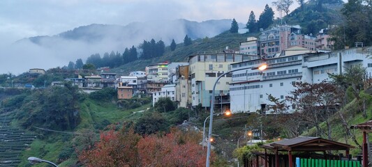 Wall Mural - Beautiful mountain with sweet and organic plums grown and colorful maple in Taiwan