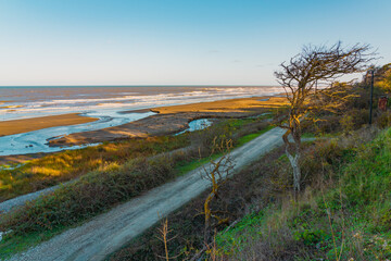 Wall Mural - Dirt road along the sea coast