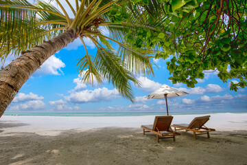 Tropical beach background as summer landscape with lounge chairs and palm trees and calm sea for beach banner	