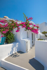 Wall Mural - Amazing Santorini landscape with white architecture and sea view. Sunny summer travel background, cityscape, urban scenic. Idyllic streets, pathway, pool and houses. Luxury resort hotel vacation