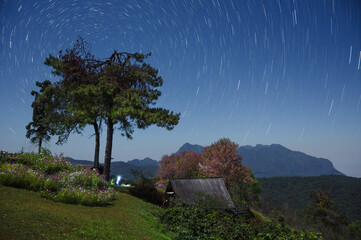 Wall Mural - beautiful doi luang chiang dao mountains at night and star trails, doi mae taman, san pa kia. chiang
