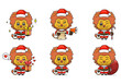 cute lion set, animal character bundles in santa costumes, animals wearing christmas costumes. cartoon in kawaii style