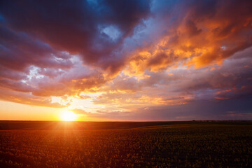 Aufkleber - Attractive colorful sunset with cloudy sky in rural area.