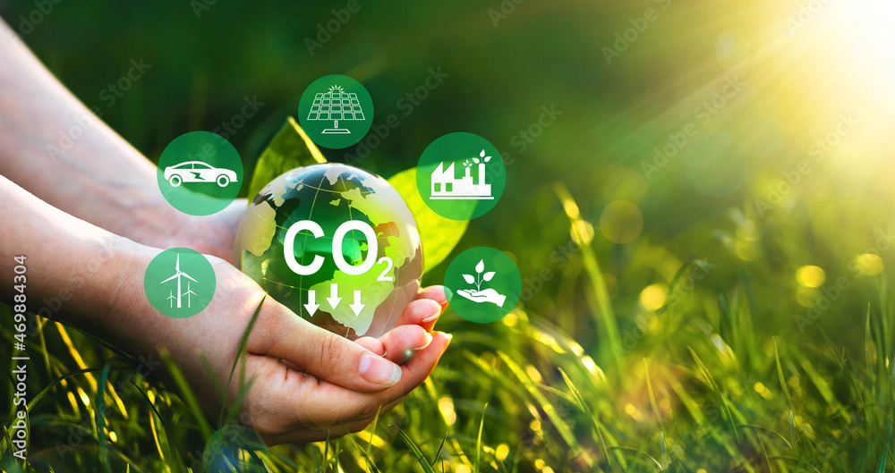 Sustainable development and green business based on renewable energy ...