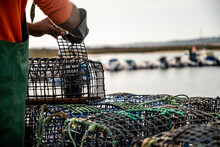Fisherman Puts Crab Inside Octopus Traps In Algarve, Portugal