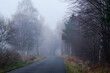 Gęsta mgła na drodze