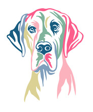 Great Dane Dog Vector Color Contour Portrait Vector