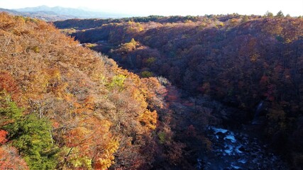  松川渓谷の紅葉