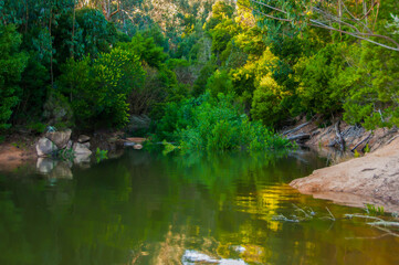 Canvas Print - Landscape with reflections of trees in the water