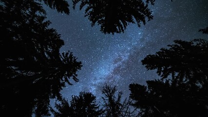 Wall Mural - time lapse of milky way galaxy stars light turning looking up in dark forest silhouette astronomy ba