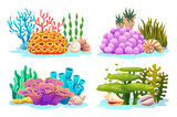 Fototapeta Do akwarium - Set of underwater coral reefs, algae, seaweed and seashells in various types cartoon illustration