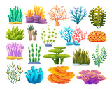 Fototapeta Do akwarium - Various types of coral reefs, algae, and seaweed cartoon illustration
