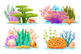 Fototapeta Do akwarium - Colorful undersea coral reefs, algae, seaweed and seashells in various types cartoon illustration