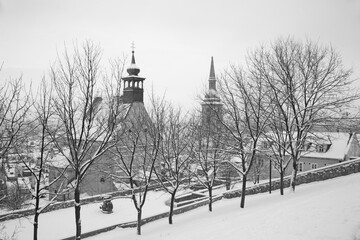 Wall Mural - Bratislava - St. Nicholas church and Cathedral in the snowfall.