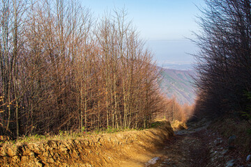 Wall Mural - Hike in the Cape Mountains of Romania