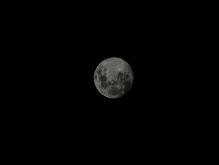 full moon in the night